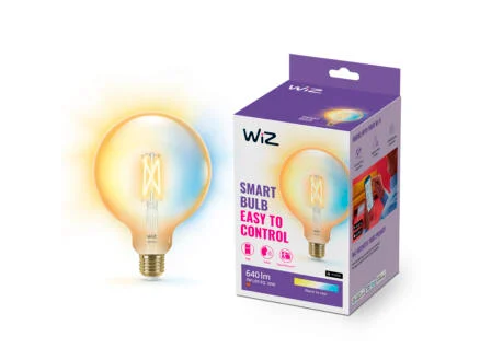 WiZ ampoule LED globe filament E27 50W dimmable