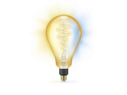 876–wiz-giant-ampoule-led-poire-filament-e27-25w-dimmable-1.jpg