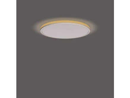 890–ozziet-led-plafondlamp-rond-18w-wit-1.jpg