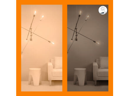907–wiz-ampoule-led-edison-filament-e27-50w-dimmable-2-pi-ces-t-l-commande-1.jpg