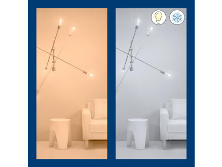 907–wiz-ampoule-led-edison-filament-e27-50w-dimmable-2-pi-ces-t-l-commande-1.jpg
