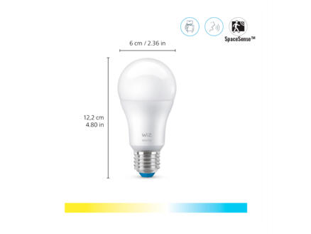909–wiz-ampoule-led-poire-e27-60w-dimmable-2-pi-ces-1.jpg