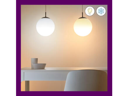 909–wiz-ampoule-led-poire-e27-60w-dimmable-2-pi-ces-1.jpg