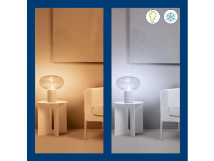 914–wiz-led-peerlamp-filament-e27-60w-dimbaar-2-stuks-1.webp