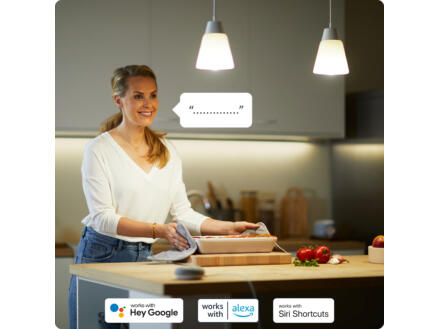 926–wiz-led-peerlamp-e27-60w-dimbaar-1.webp