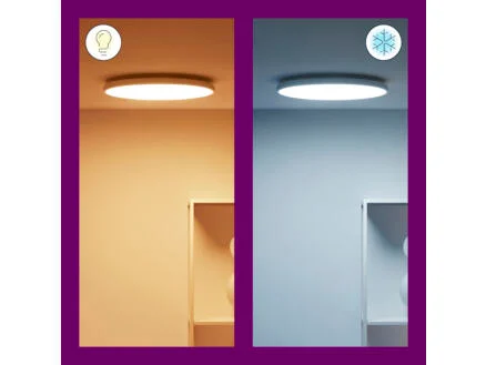 928–wiz-rune-led-plafondlamp-21w-dimbaar-gekleurd-en-wit-licht-wit-1.jpg