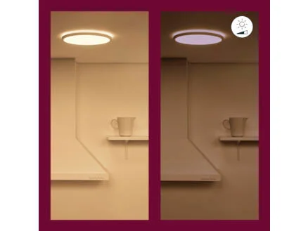 928–wiz-rune-led-plafondlamp-21w-dimbaar-gekleurd-en-wit-licht-wit-1.jpg