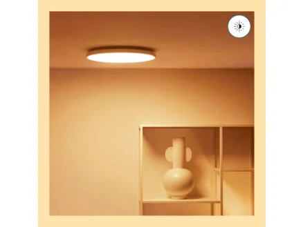 928–wiz-rune-led-plafondlamp-21w-dimbaar-gekleurd-en-wit-licht-wit-1.jpg