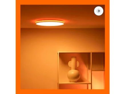 928–wiz-rune-led-plafondlamp-21w-dimbaar-gekleurd-en-wit-licht-wit-1.jpg