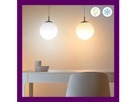 938–wiz-led-kogellamp-e27-40w-dimbaar-1.webp